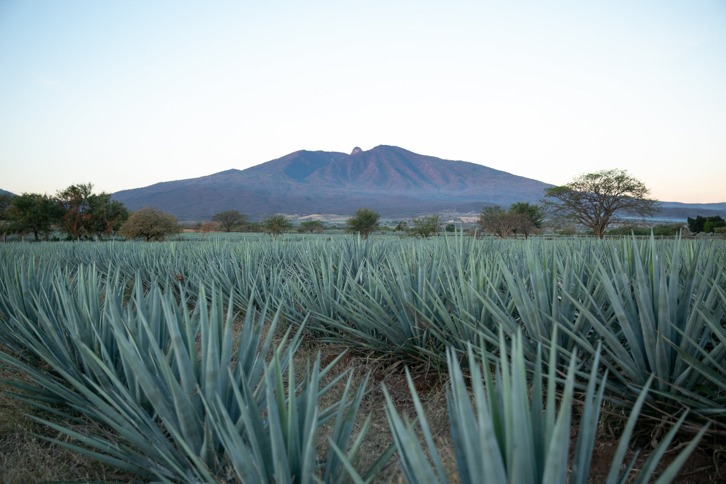 COUPLES TEQUILA EXPERIENCE WITH JOSE CUERVO