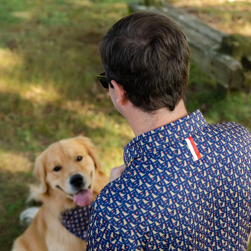 RHOBACK THE GOLDEN POLO