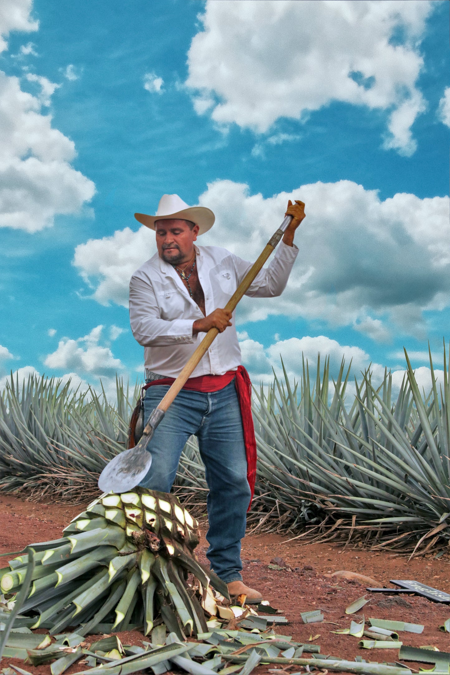 COUPLES TEQUILA EXPERIENCE WITH JOSE CUERVO